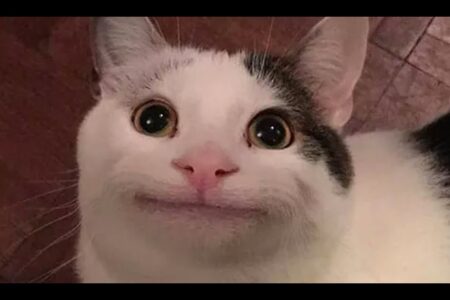 Funny Memes That Will Make You Laugh Out Loud 😂